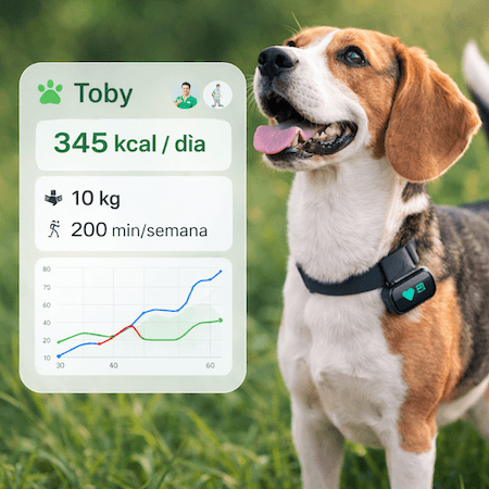 Nutrición de Precisión